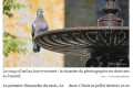 La photo du mois de mai 2021